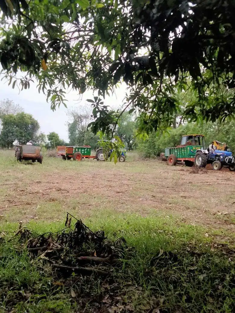 Mango farm land for sale in chennai